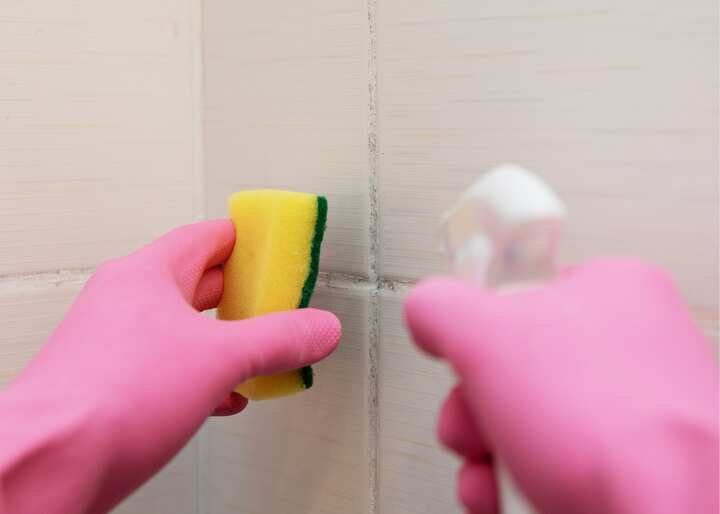mold inspection Charlotte NC