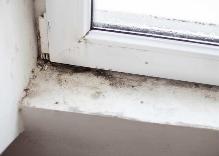 mold inspection Charlotte NC