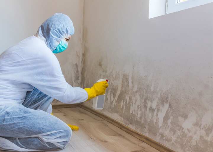 mold remediation Charlotte