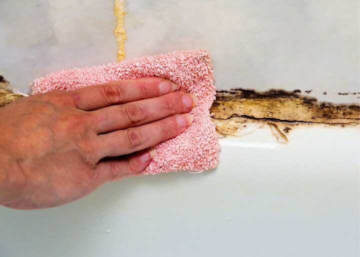 mold remediation Charlotte