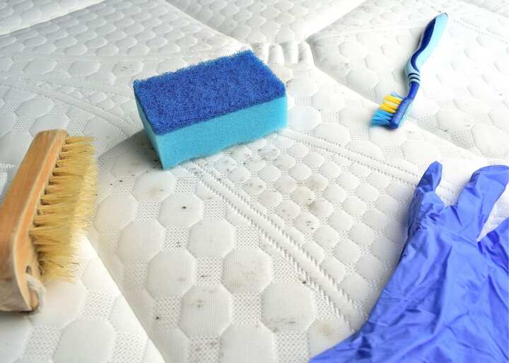 Charlotte mold