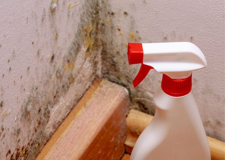 mold inspection Charlotte NC