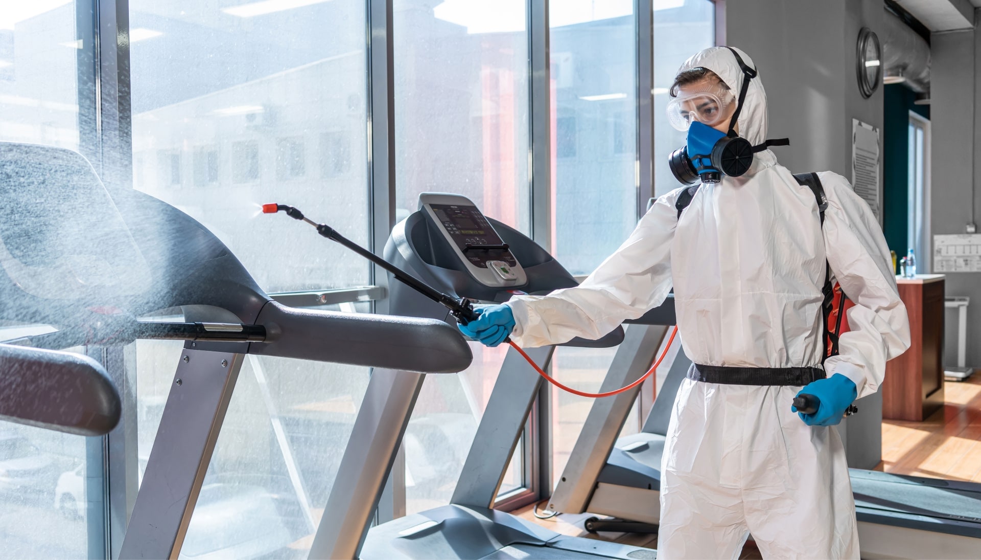 Commercial Mold Removal Services in Charlotte