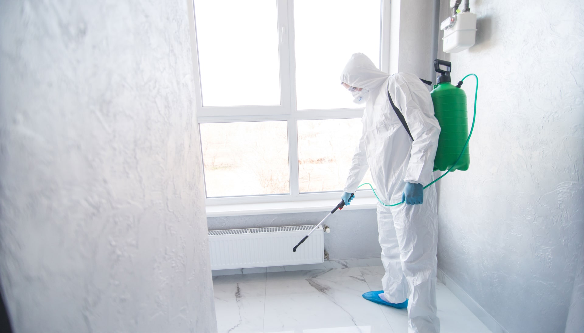 Mold Inspection Services in Charlotte